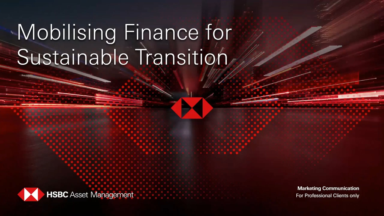 Sustainable Emerging Market Debt: Mobilising finance for sustainable transition