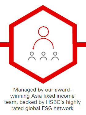 Managed by our award-winning Asia fixed income team, backed by HSBC’s highly rated global ESG network